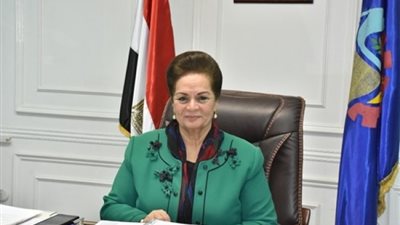 محافظ البحيرة لمهاجميها: 