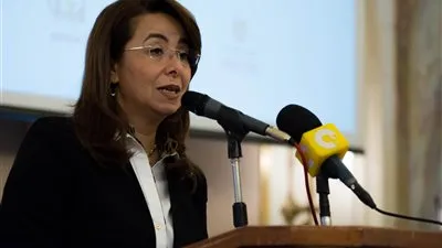 غادة والي عن أزمة أقباط العريش: 