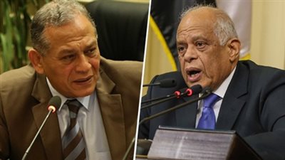 أكثر من 200 نائب يوافقون على إسقاط عضوية 