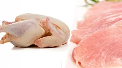 علامات تشير الى أن لحوم الدجاج مريضة.. تعرف عليها قبل الاستخدام