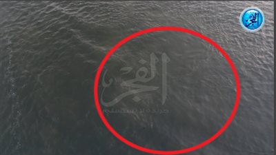 بقعة زيت في نهر النيل أمام ساقية الصاوي (فيديو وصور) 