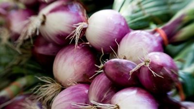 البصل يصل لـ 8 جنيهات في الأسواق اليوم