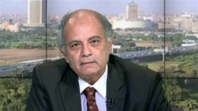 مساعد وزير الخارجية الأسبق: زيارة ميركل تعكس دور مصر المحوري في المنطقة 