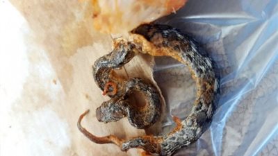 شاهد.. مواطن يعثر على ثعبان سام في طعامه (صور)