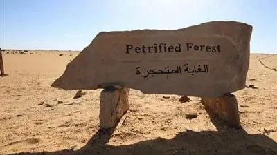 دعوى أمام القضاء الإداري لإلغاء بيع محمية الغابة المتحجرة