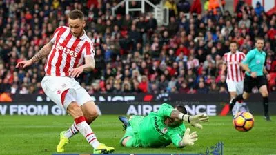   ارناوتوفيتش يسجل هدف التقدم لستوك سيتي في شباك ميدلزبره (فيديو)