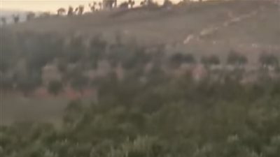 لحظة سقوط طائرة حربية على الحدود التركية السورية (فيديو وصور)