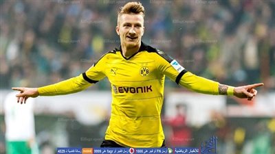 بوروسيا دروتموند يعلن حجم إصابة رويس