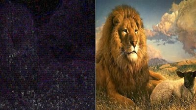 طريقة بسيطة لاكتشاف الصور المزيفة.. تعرف عليها