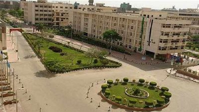 غدًا.. مؤتمر للتنمية الزراعية‎ بـ