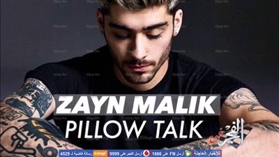 زين مالك يحصد جائزة أفضل 