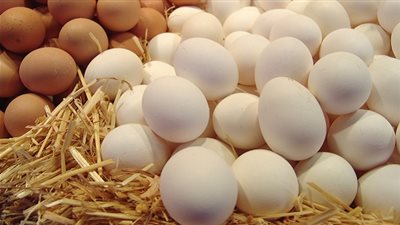 7 حقائق عن البيض لم تكن تعرفها من قبل