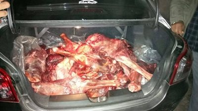 العثور على 120 كيلو لحوم منتهية الصلاحية داخل أحد المولات بالعبور