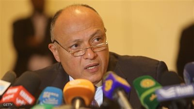 وزير الخارجية: لا بديل عن الحل السياسي في سوريا وليبيا