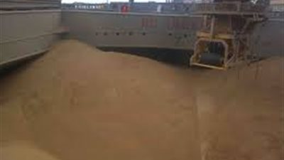 رويترز: رفض شحنات قمح روسية وأرجنتينية لمصر بسبب مخاوف حول الجودة