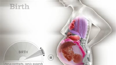  في مشهد مذهل.. فيديو يظهر تغير جسم المرأة أثناء !
