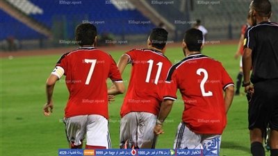 صالح: أندية الدوري وأرضية الملعب سبب خروجنا من أمم إفريقيا