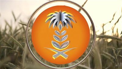 مؤسسة الحبوب تطرح مناقصة لاستيراد 720 ألف طن قمح صلب