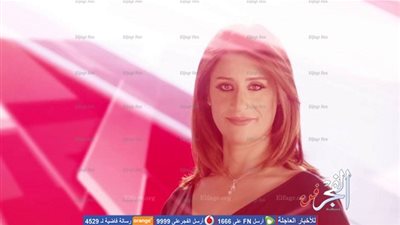 دينا سالم و