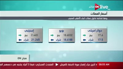 تعرف على أسعار العملات مقابل الجنيه اليوم على قناة 