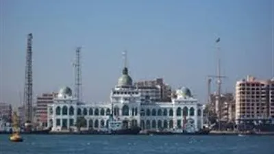 تموين بورسعيد: توفير كميات كبيرة من الدواجن واللحوم البرازيلي المدعمة 