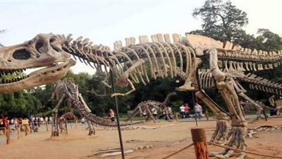 هل تعلم ما هو أضخم حيوان عاش على وجه الأرض قديمًا ؟ 