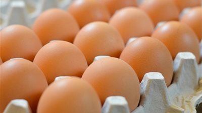أسعار البيض في الأسواق اليوم الأحد 12-8-2018