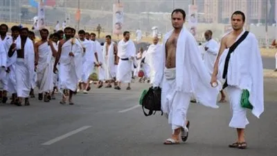 عاجل.. أخبار السعودية اليوم | وصول أكثر من 736 ألف حاج إلى المدينة المنوّرة خلال 24 ساعة