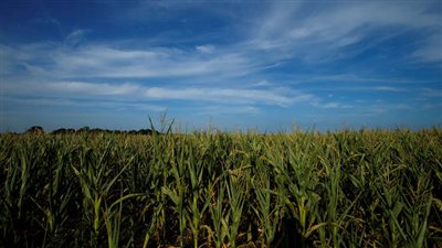 رحلة سياحية على جرار تنتهي بمأساة في ألمانيا