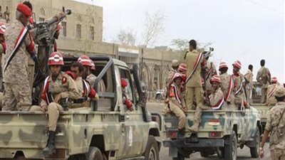 الشرعية اليمنية تثبت سيطرتها على مركز الدريهمي في الحديدة