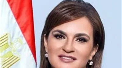 وزيرة الاستثمار تعتمد قرار نماذج تأسيس شركة الشخص الواحد