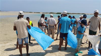 الفروع الأقليمية للبيئة تنفذ العديد من الأنشطة استعدادا لمؤتمر التنوع البيولوجي