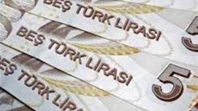 الجالية العربية في إسطنبول تدعو إلى دعم الليرة التركية