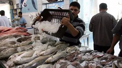 أسعار الأسماك اليوم الخميس 16-8- 2018 في محافظة المنيا