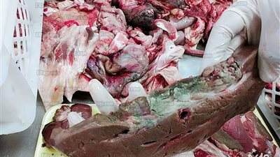 حملات موسعة لشرطة التموين لضبط الأسواق بالعاصمة