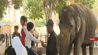 'الزراعة' لـ رواد حديقة الجيزة: 'لا تلقوا المأكولات على الحيوانات'