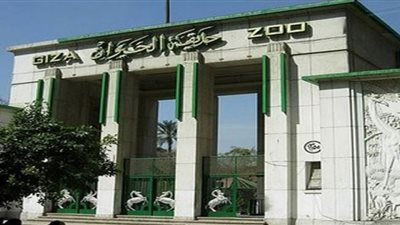  مدير عام حدائق الحيوانات يحسم الجدل بشأن زيادة أسعار التذاكر  