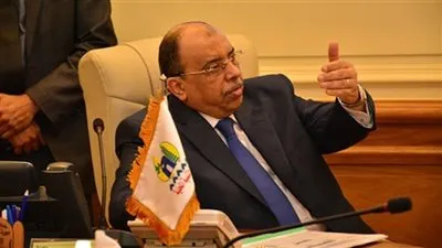 وزير التنمية المحلية: لا ندخر جهدًا للنهوض بإقليم الصعيد