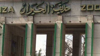 هل ترتفع في الأعياد؟.. القصة الكاملة لزيادة سعر تذكرة 