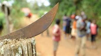 سؤال وجواب.. هل يشترط في آلة الذبح شروط معينة؟