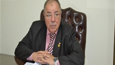 برلماني: إزالة المخالفات يمنع العشوائيات