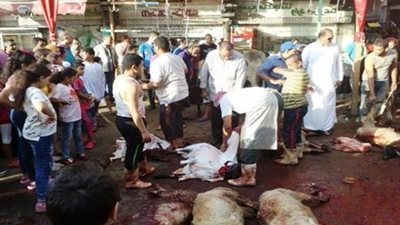 وفد من الأوقاف يتفقد حالة صكوك الأضاحي بمجزر أبو سمبل