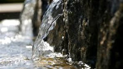 خصائصه وفوائده.. كل ما تريد معرفته عن 