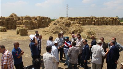 رئيس شؤون البيئة يبحث مع محافظي كفر الشيخ والغربية مواجهة السحابة السوداء