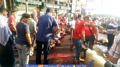 ضرب قرار محافظ الإسكندرية بعرض الحائط.. ذبح جماعي للأضحية.. والشوارع برك دماء (فيديو وصور)