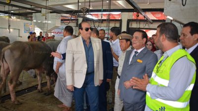 محافظ الدقهلية: دراسة متكاملة لإنشاء مجزر آلي يعد نقلة حضارية 