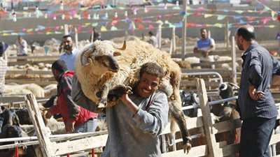 5 طقوس عند المصريين للاحتفال بعيد الأضحى.. تعرف عليها