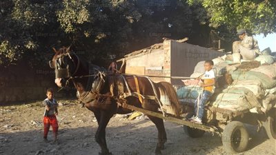 أطفال المدابغ في العيد.. من نقل الجلود إلى تأجير الخيول (صور)