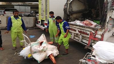 عاجل.. أخبار السعودية اليوم | الفرق الرقابية ببلدية أجياد تعدم 28 ذبيحة بمسلخ عشوائي