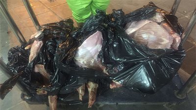 عاجل.. أخبار السعودية اليوم | أمانة جدة تُحبط تهريب 657 ذبيحة فاسدة بـ3 نقاط تفتيش